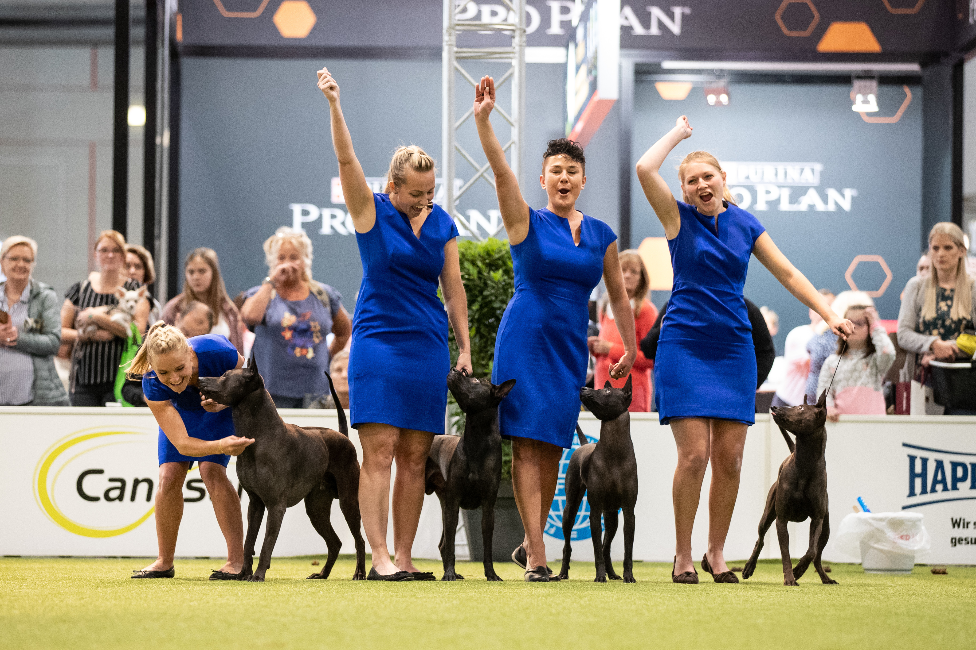 16606743-601e37bb43bc5305c7bf