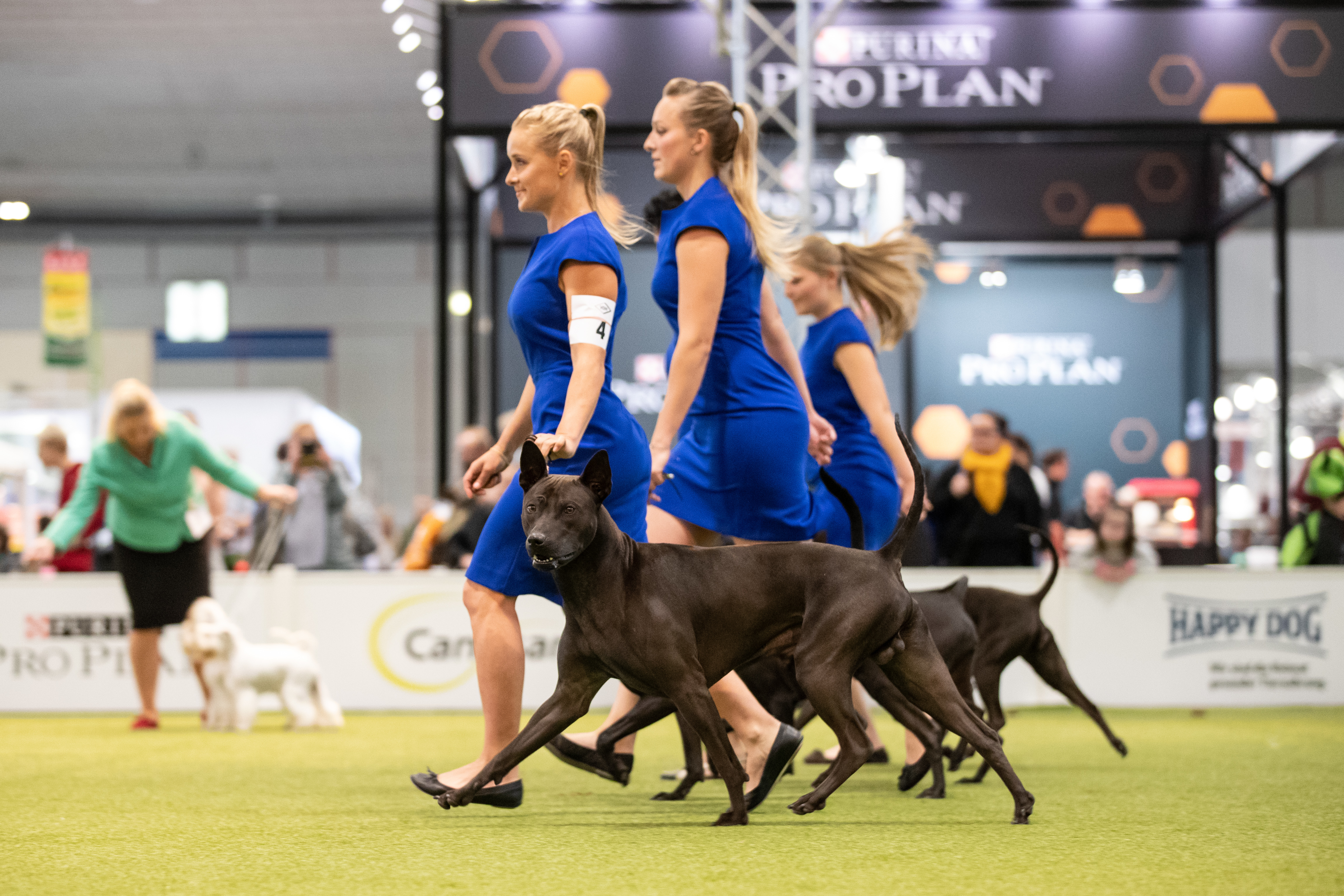 16606754-e85542df79bc5305cdf6