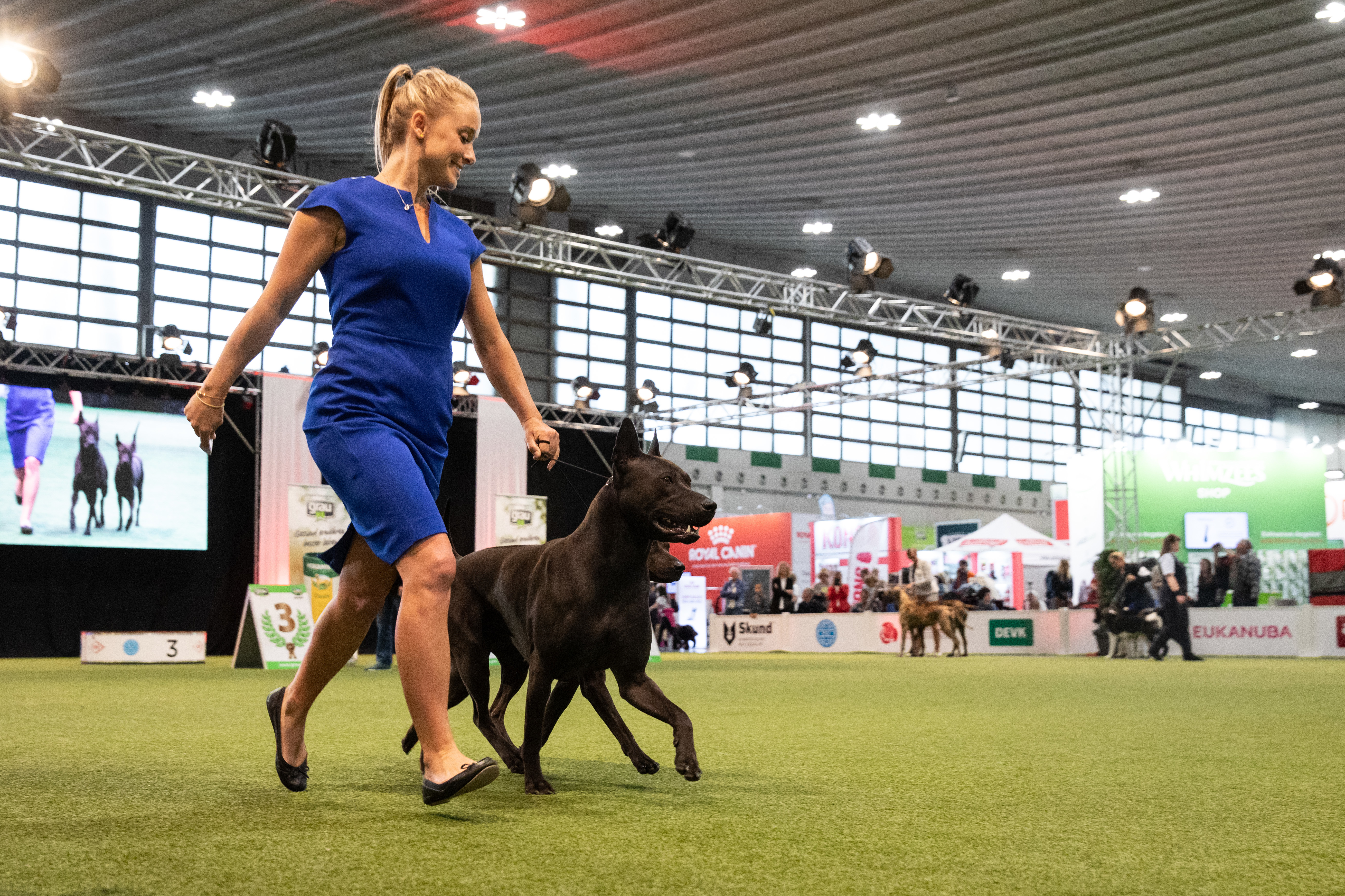 16606759-c87f623b7bbc5305d76d