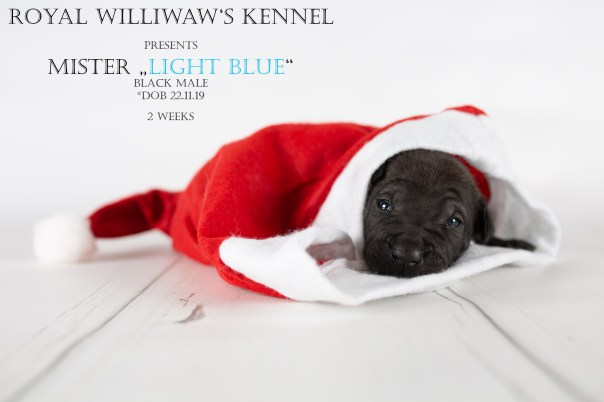 RW_Lightbue_2weeks_beschriftet