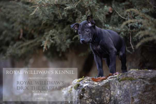 82048040_777993436015005_3694800179648528384_o